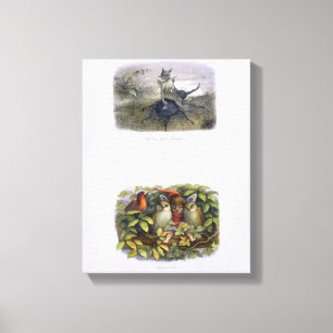 Der Gesandte der Fairy Queen und Elf und Owls kran Leinwanddruck