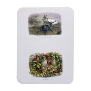 Der Gesandte der Fairy Queen und Elf und Owls kran Magnet