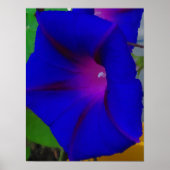 Der gestrichene Morgen Poster (Vorne)