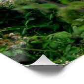 Der gestürzte TSS-Herzog von Lancaster Ship Poster (Ecke)