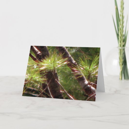 Der geweckte Wald Karte (Vorderseite)