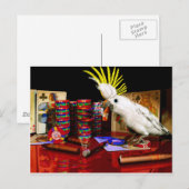 Der Gewinner Postkarte (Vorne/Hinten)