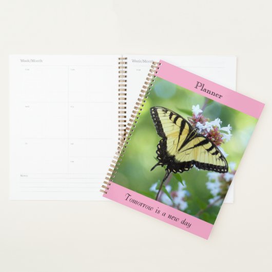 Der Giant Swallowtail Planer (Anzeige)