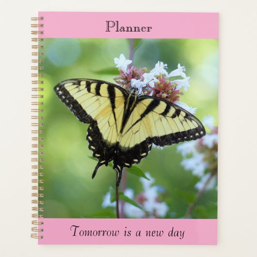 Der Giant Swallowtail Planer (Vorderseite)