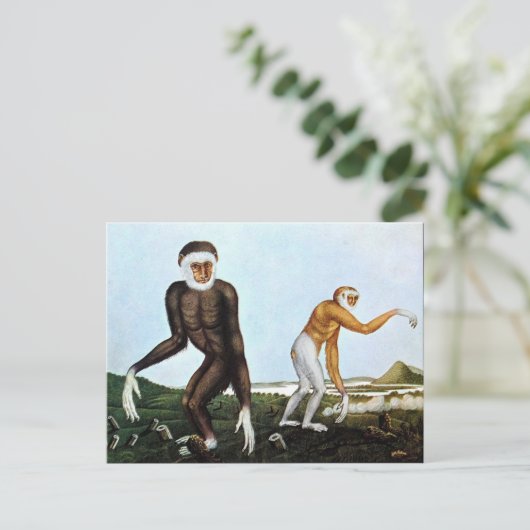 Der Gibbon oder der Gibbon (1833) Postkarte (Stehend Vorderseite)