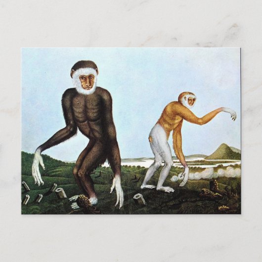 Der Gibbon oder der Gibbon (1833) Postkarte (Vorderseite)