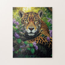 Der Glanz der Geparden