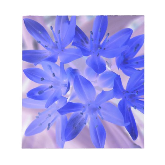 Der Glanz des schneeschockierenden Blue Notepad Notizblock (Vorderseite)