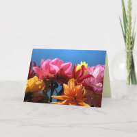 Der glänzende Tag der Dahlie-Mutter