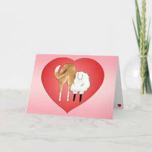Der glatte Collie-Valentinstag Feiertagskarte
