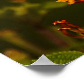 Der Glaube ist...Inspirationsskriptur Poster (Ecke)