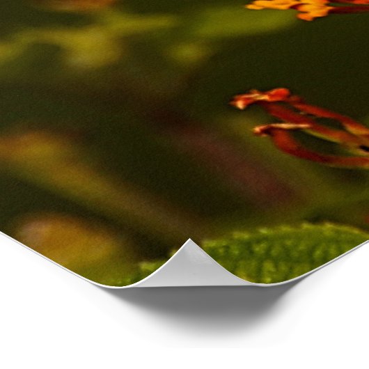 Der Glaube ist...Inspirationsskriptur Poster (Ecke)