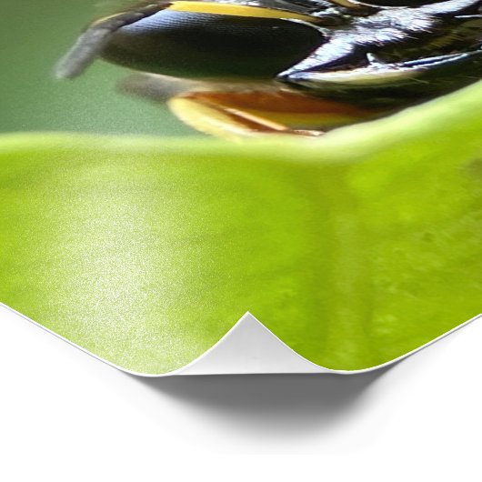 Der glückliche Fehler Fotodruck (Ecke)