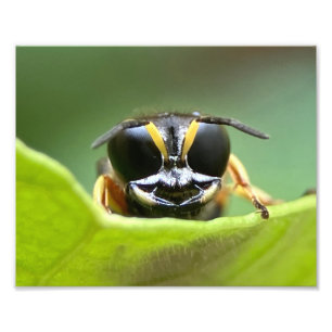 Der glückliche Fehler Fotodruck