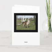 Der glückliche LLAMA-Gruß Karte (Rückseite)