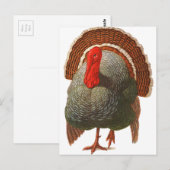 Der glückliche Tag der Türkei Vintag Türkei Postkarte (Vorne/Hinten)