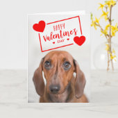Der glückliche Valentinstag | Sweet Dackel Puppy Karte (Gelbe Blume)