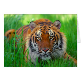 Der glückliche Vatertag