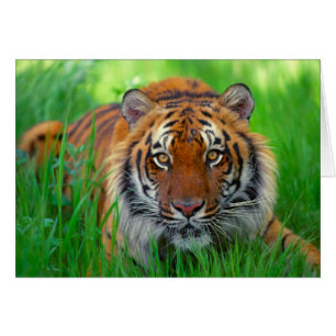 Der glückliche Vatertag