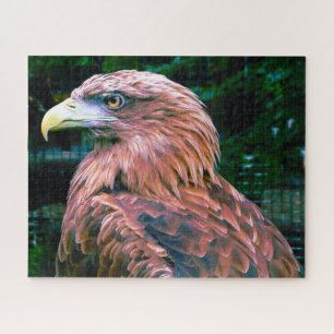 Der goldene Adlervogel der Beute. Jigsaw Puzzle