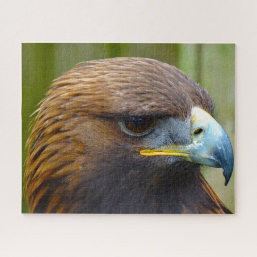 Der goldene Adlervogel der Beute. Puzzle (Horizontal)