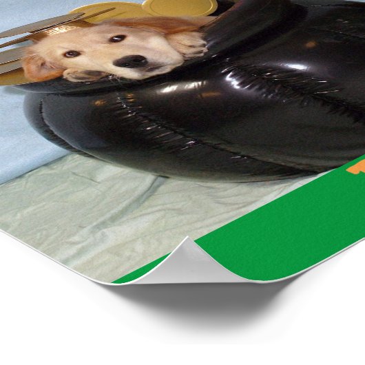 Der goldene Kobold Poster (Ecke)