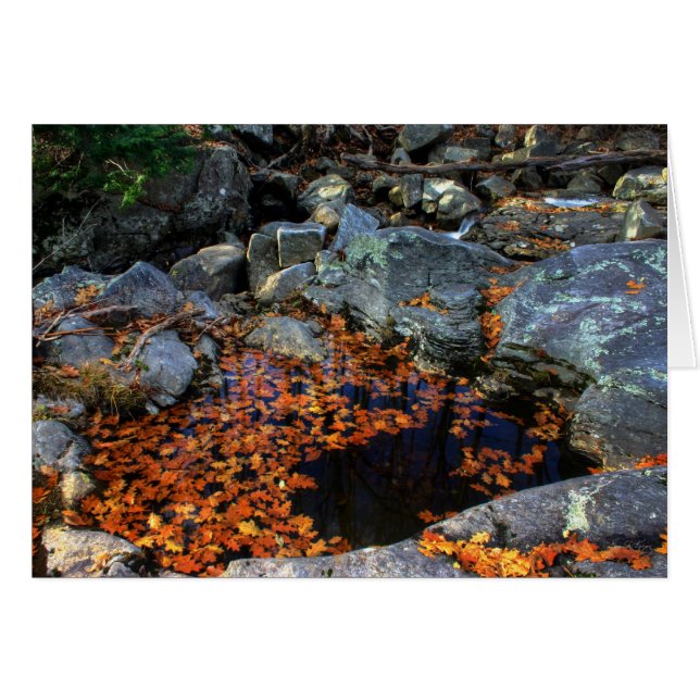 Der Goldene Pool (Vorderseite (Horizontal))