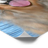 Der goldene Reichtum verändert die Welt Poster (Ecke)