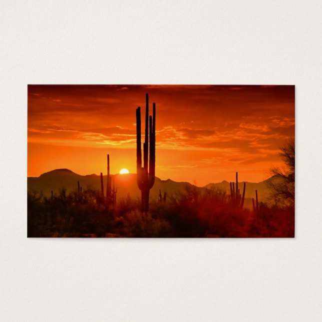 Der goldene Südwesthimmel (Vorderseite)