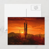 Der goldene Südwesthimmel Postkarte (Vorne/Hinten)