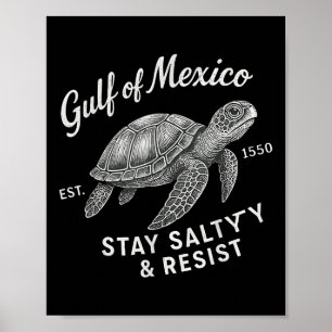 Der Golf von Mexiko ist salzig und widersteht dem Poster