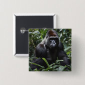 Der Gorilla-König in Mitternacht: Der Monarch des Button (Vorne & Hinten)