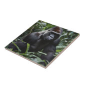 Der Gorilla-König in Mitternacht: Der Monarch des Fliese (Seite)