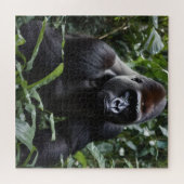 Der Gorilla-König in Mitternacht: Der Monarch des  Puzzle (Horizontal)