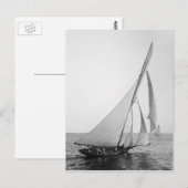 Der Gorilla Postkarte (Vorne/Hinten)