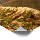 Der Grand Canyon Poster (Ecke)