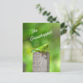 Der Grashüpfer Postkarte (Stehend Vorderseite)