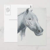 Der graue Blick Postkarte (Vorne/Hinten)