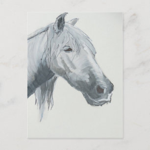 Der graue Blick Postkarte