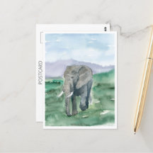 Der graue Elefant im Dschungel