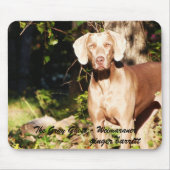 Der graue Geist - Weimaraner, Ingwer… Mousepad (Vorne)