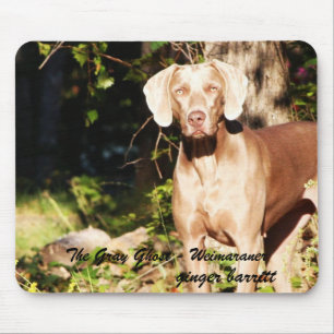 Der graue Geist - Weimaraner, Ingwer… Mousepad