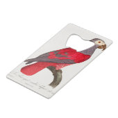 Der graue rote Papagei, Psittacus erithacus Geldbeutel Flaschenöffner (Vorderseite Schrägansicht)