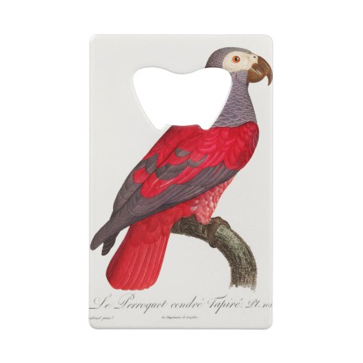 Der graue rote Papagei, Psittacus erithacus Geldbeutel Flaschenöffner (Rückseite)