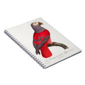 Der graue rote Papagei, Psittacus erithacus Notizblock (Rechte Seite)
