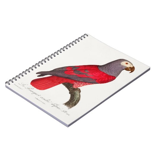 Der graue rote Papagei, Psittacus erithacus Notizblock (Linke Seite)