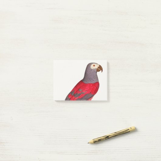 Der graue rote Papagei, Psittacus erithacus Post-it Klebezettel (Auf Schreibtisch)