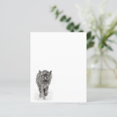 Der graue Schwarze Wolf im Schnee , der wilde Wint (Stehend Vorderseite)