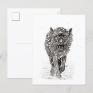 Der graue Schwarze Wolf im Schnee , der wilde Wint Feiertagspostkarte