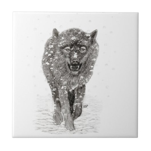 Der graue Schwarze Wolf im Schnee , der wilde Wint Fliese (Vorderseite)